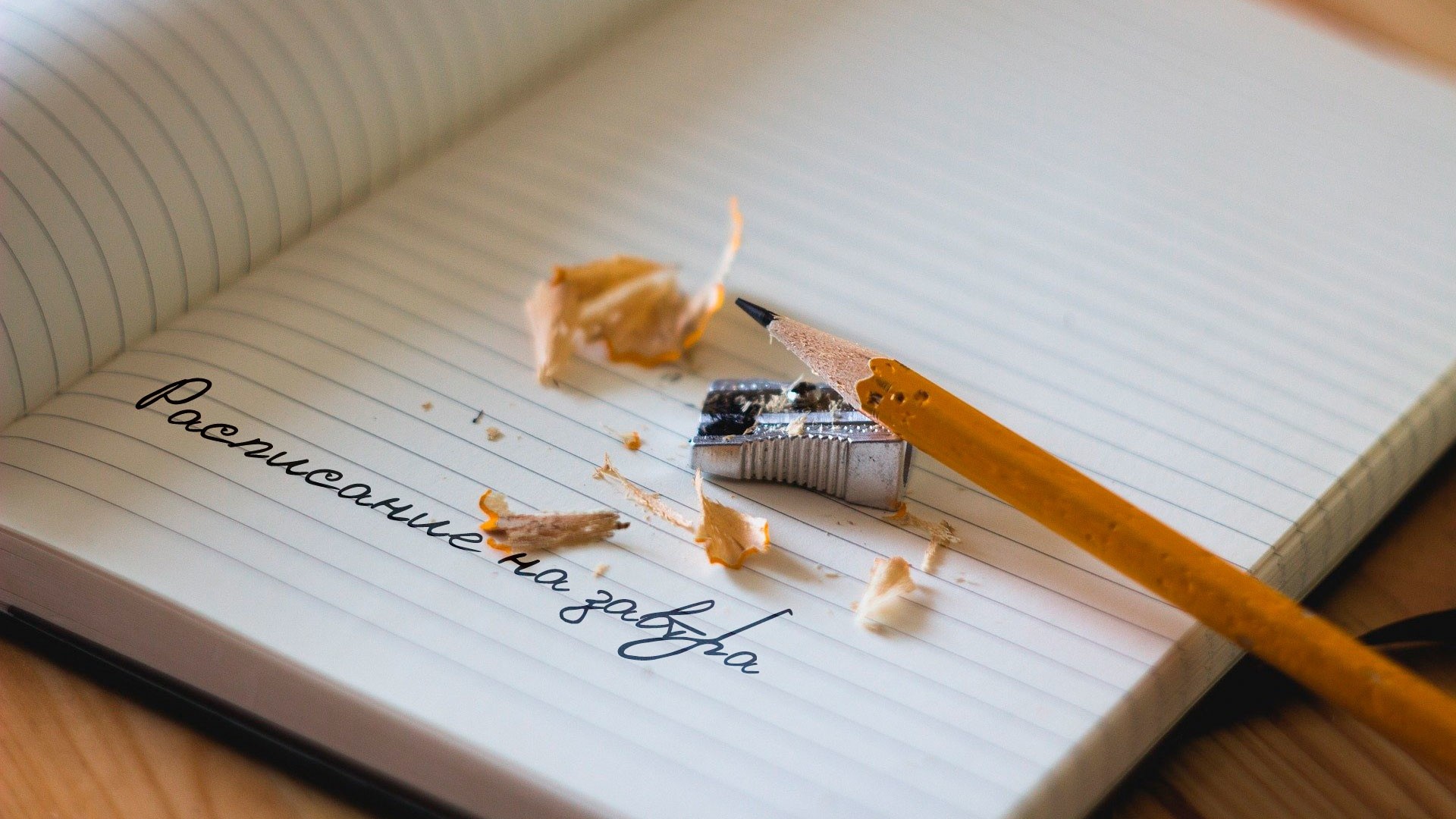 Расписание на завтра