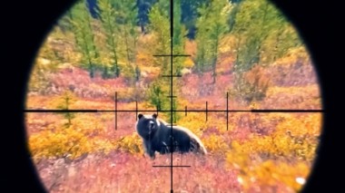 Особенности национальной VIP-охоты