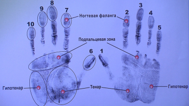Убийственные доказательства