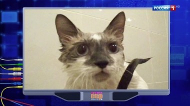 Эфир от 01.12.2019