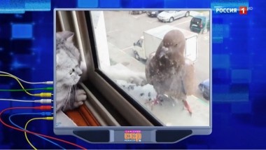 Эфир от 08.12.2019