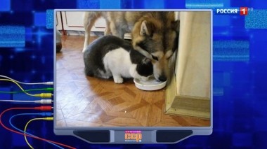 Эфир от 10.11.2019