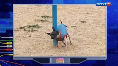 Эфир от 15.12.2019