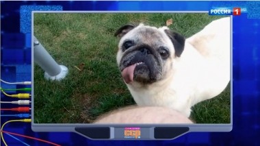 Эфир от 20.10.2019