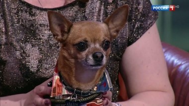 Эфир от 22.12.2019