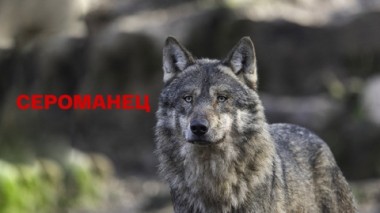 Художественный фильм