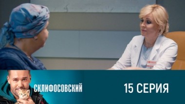 Серия 15
