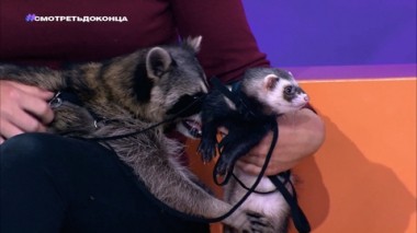 Эфир от 07.08.2021