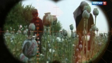 Опиум для террора. Александр Сладков