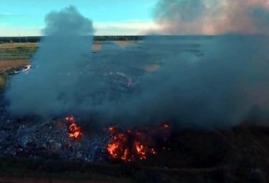 Ядовитый бизнес. Аркадий Мамонтов