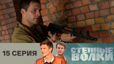 Серия 15