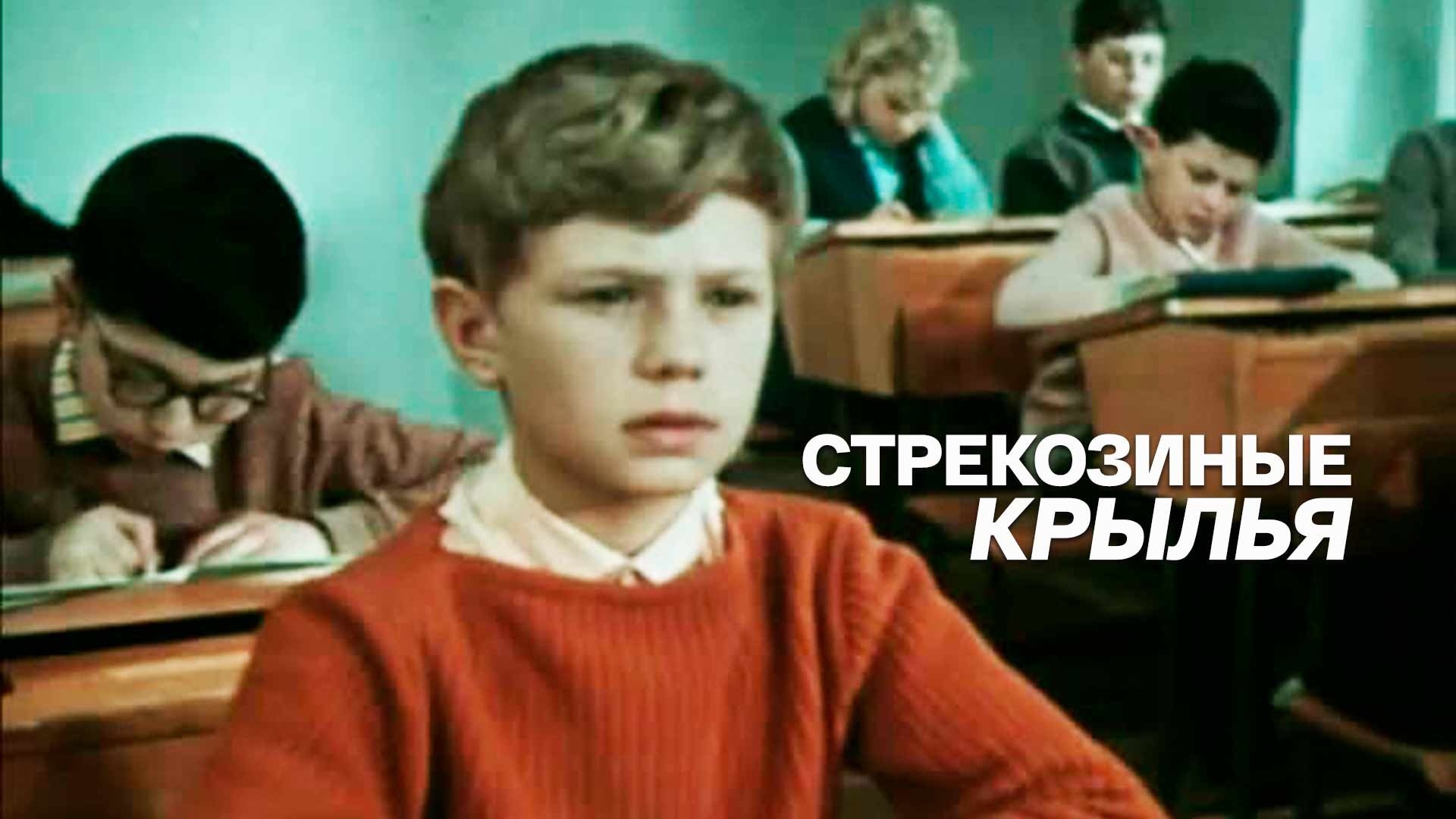 Стрекозиные крылья