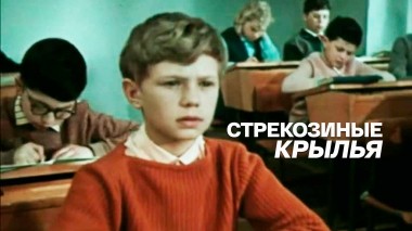 Стрекозиные крылья