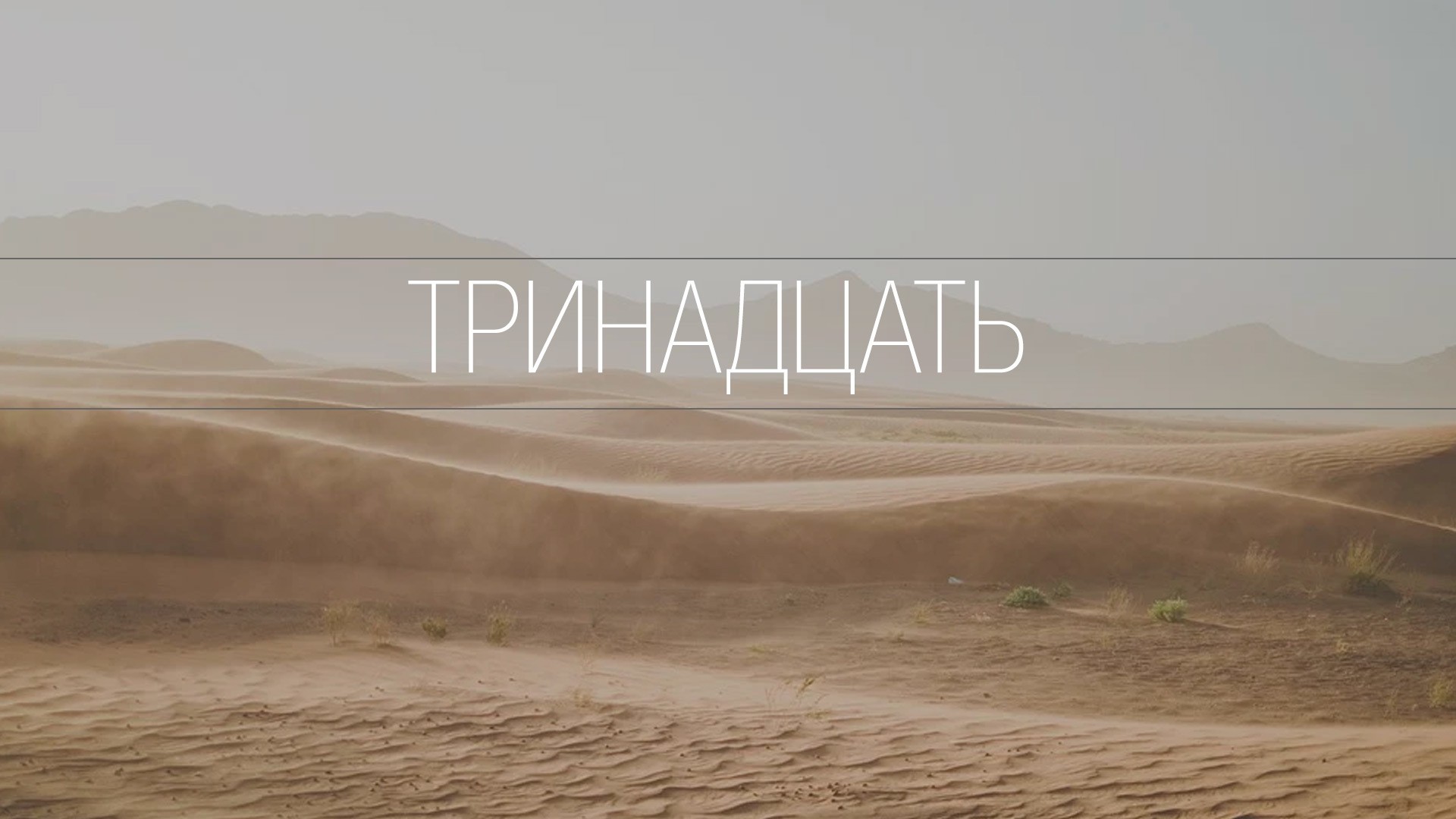 Тринадцать