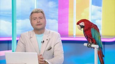 Эфир от 04.11.2025