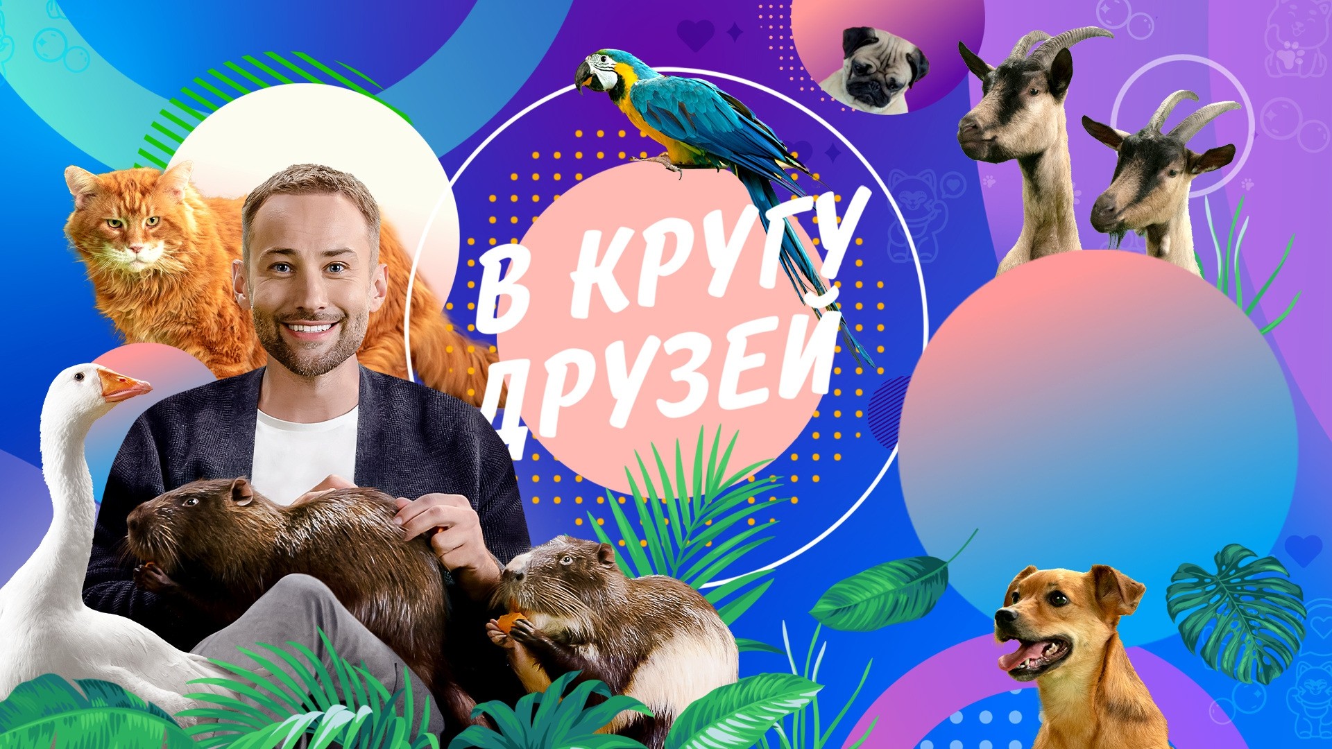 В кругу друзей