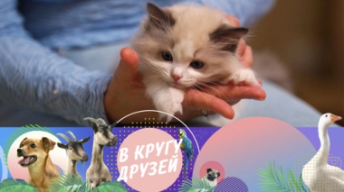 Эфир от 05.10.2025