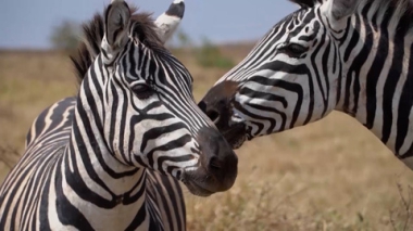 Эфир от 07.12.2025