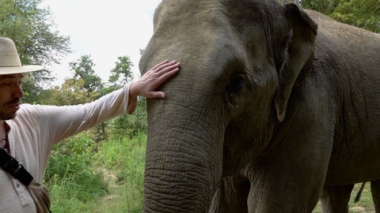 Эфир от 09.11.2025