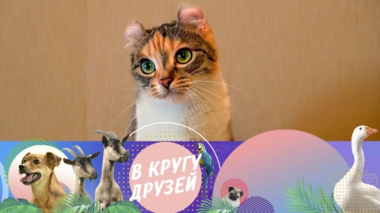 Эфир от 12.10.2025