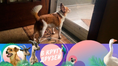 Эфир от 14.09.2025