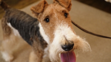 Эфир от 14.12.2025