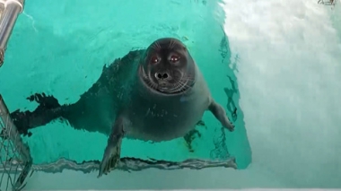 Эфир от 16.11.2025