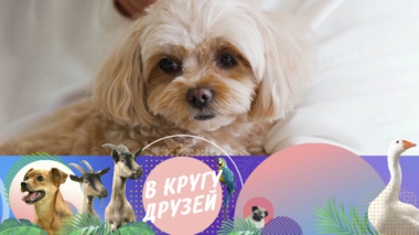 Эфир от 21.09.2025