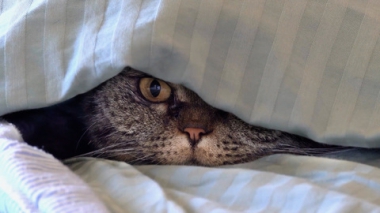 Эфир от 21.12.2025