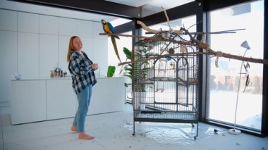 Эфир от 22.02.2026