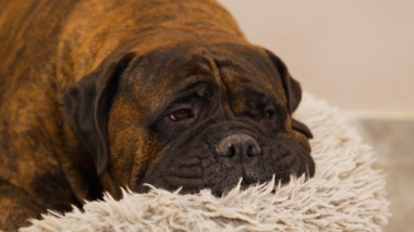 Эфир от 25.01.2026