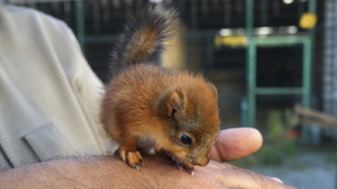 Эфир от 26.10.2025