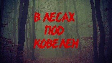 В лесах под Ковелем