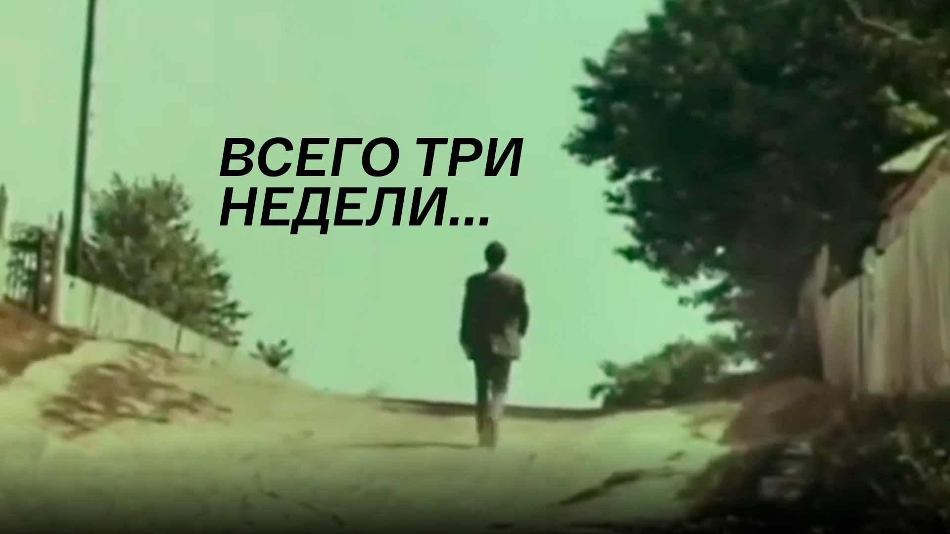 Всего три недели...