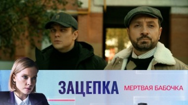 Мертвая бабочка