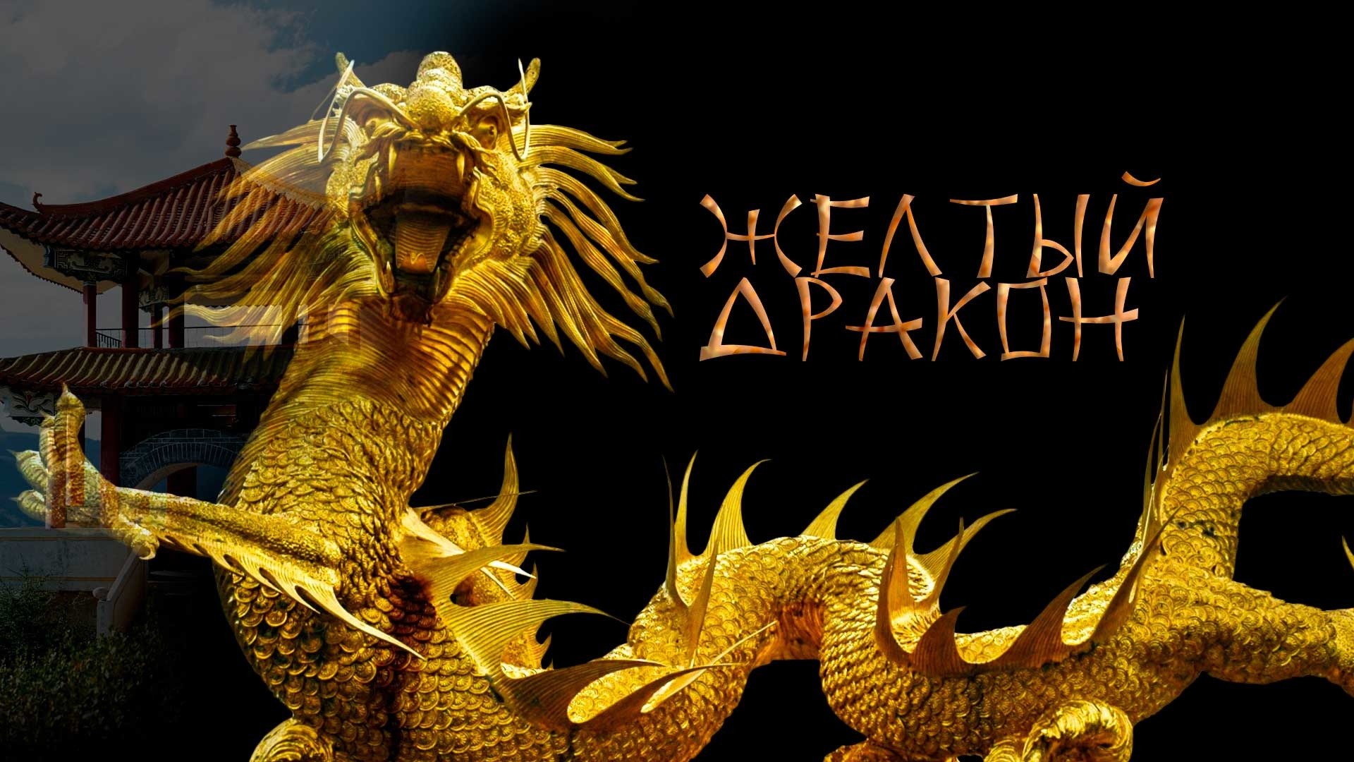 Желтый дракон