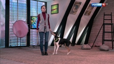 Эфир от 02.06.2018