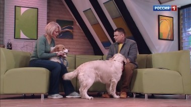 Эфир от 05.05.2018