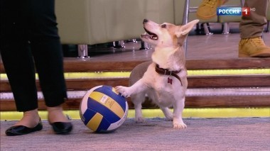 Эфир от 07.04.2018