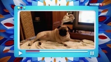 Эфир от 12.05.2018