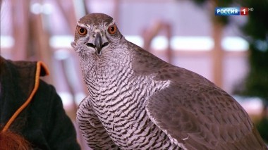 Эфир от 16.06.2018