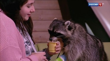 Эфир от 17.03.2018