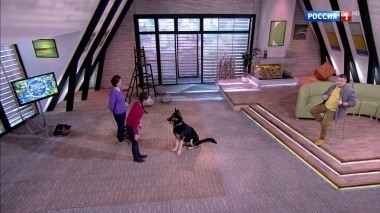 Эфир от 21.04.2018