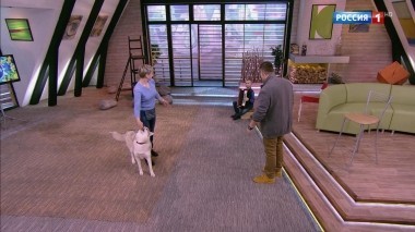 Эфир от 23.06.2018