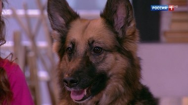 Эфир от 24.03.2018