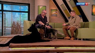 Эфир от 25.08.2018