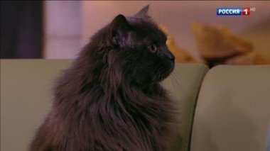 Эфир от 31.03.2018